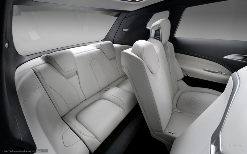 White Leather Car Seats — Modern