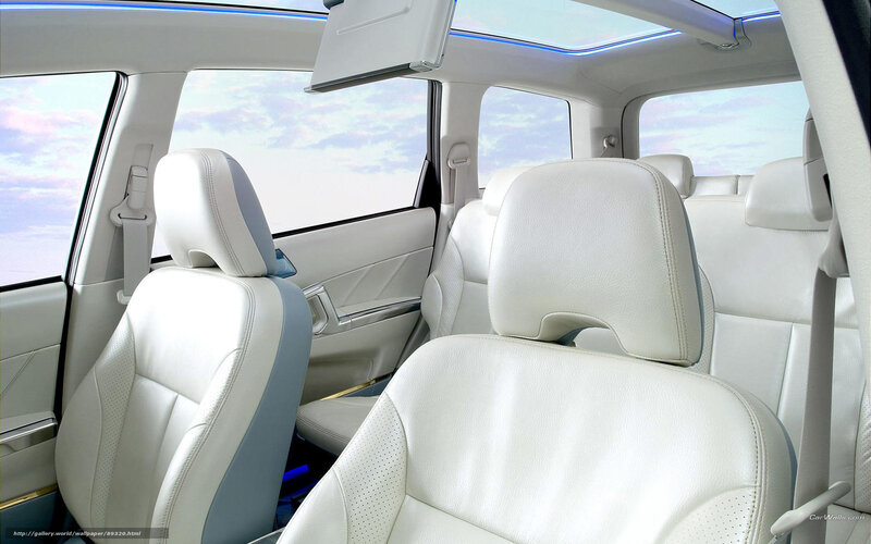 White Leather Car Seats — Serene, Photograph