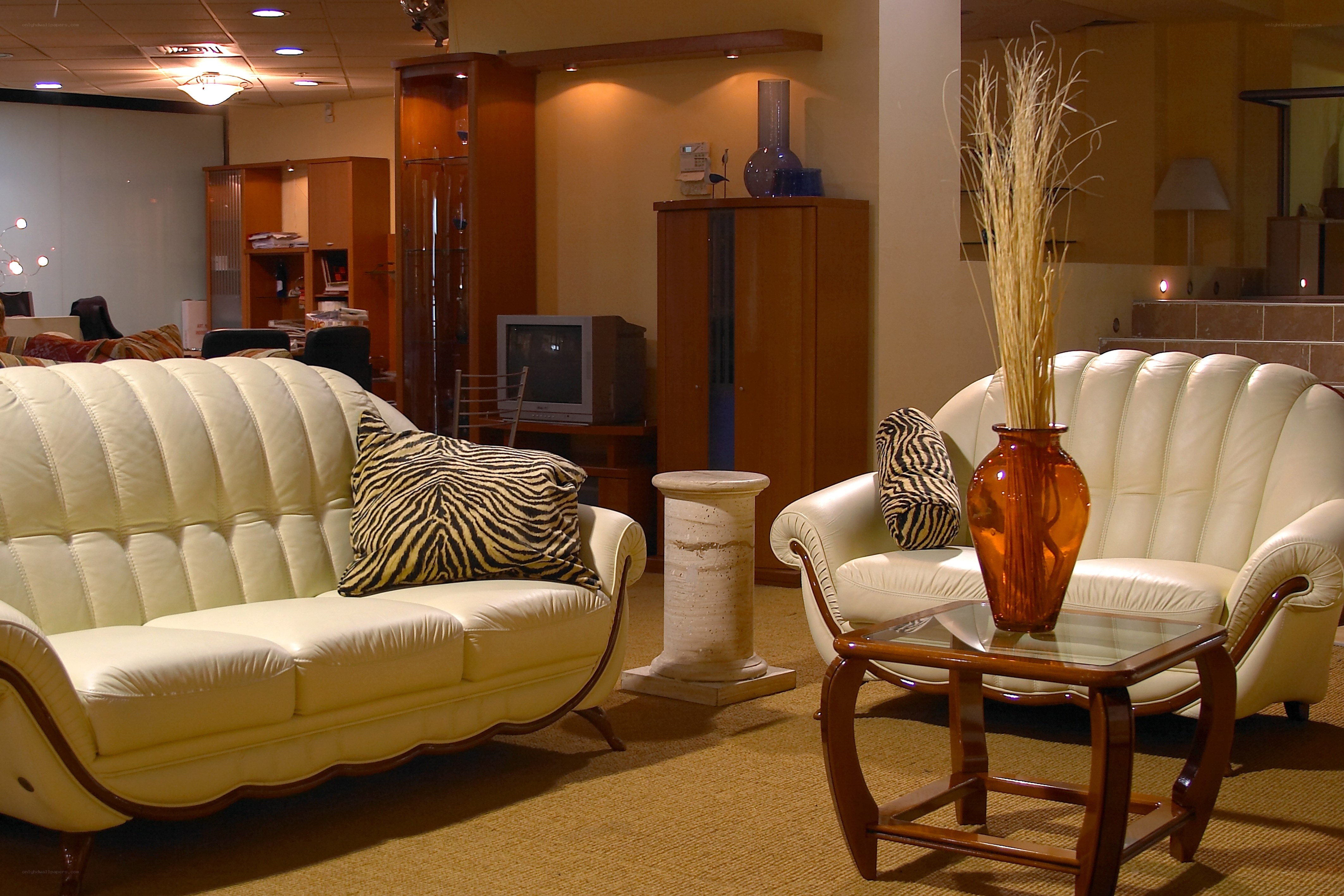 White leather sofas in showroom