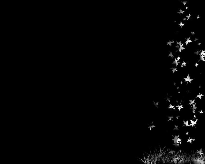White Leaves Falling — Black