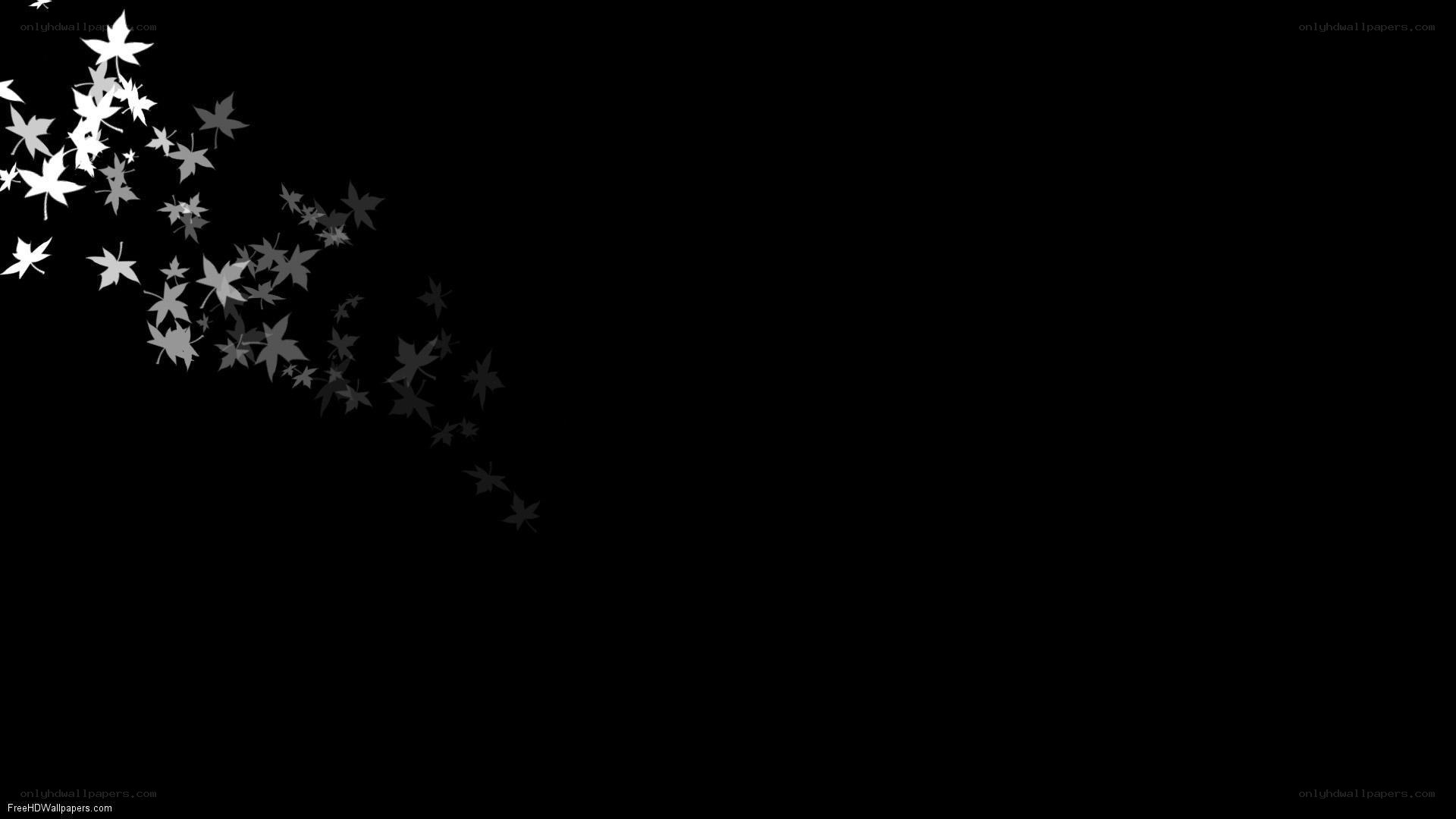 white leaves on black background