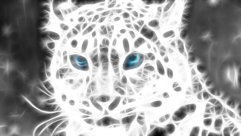 White Leopard Face