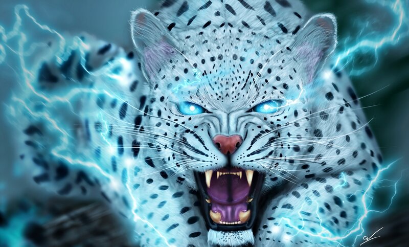 White Leopard with Blue Eyes