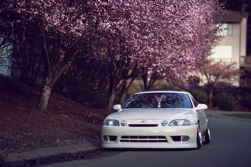 White Lexus Coupe
