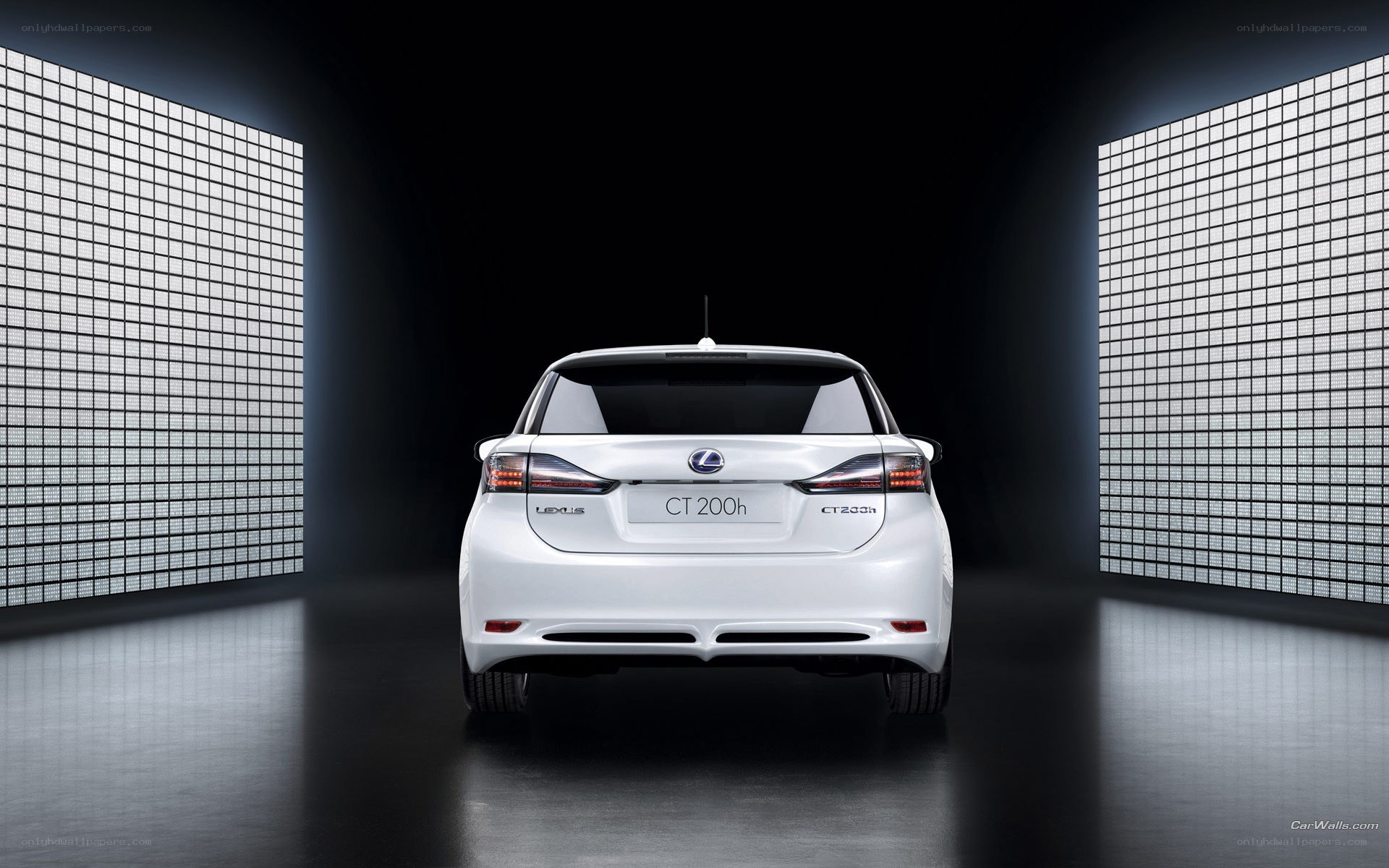 White Lexus CT 200h rear view