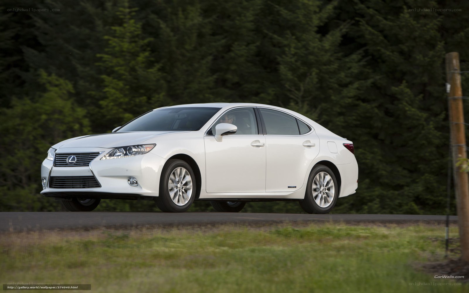White Lexus ES driving on road