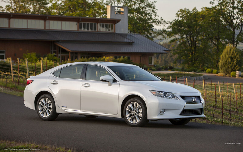 White Lexus ES in vineyard setting