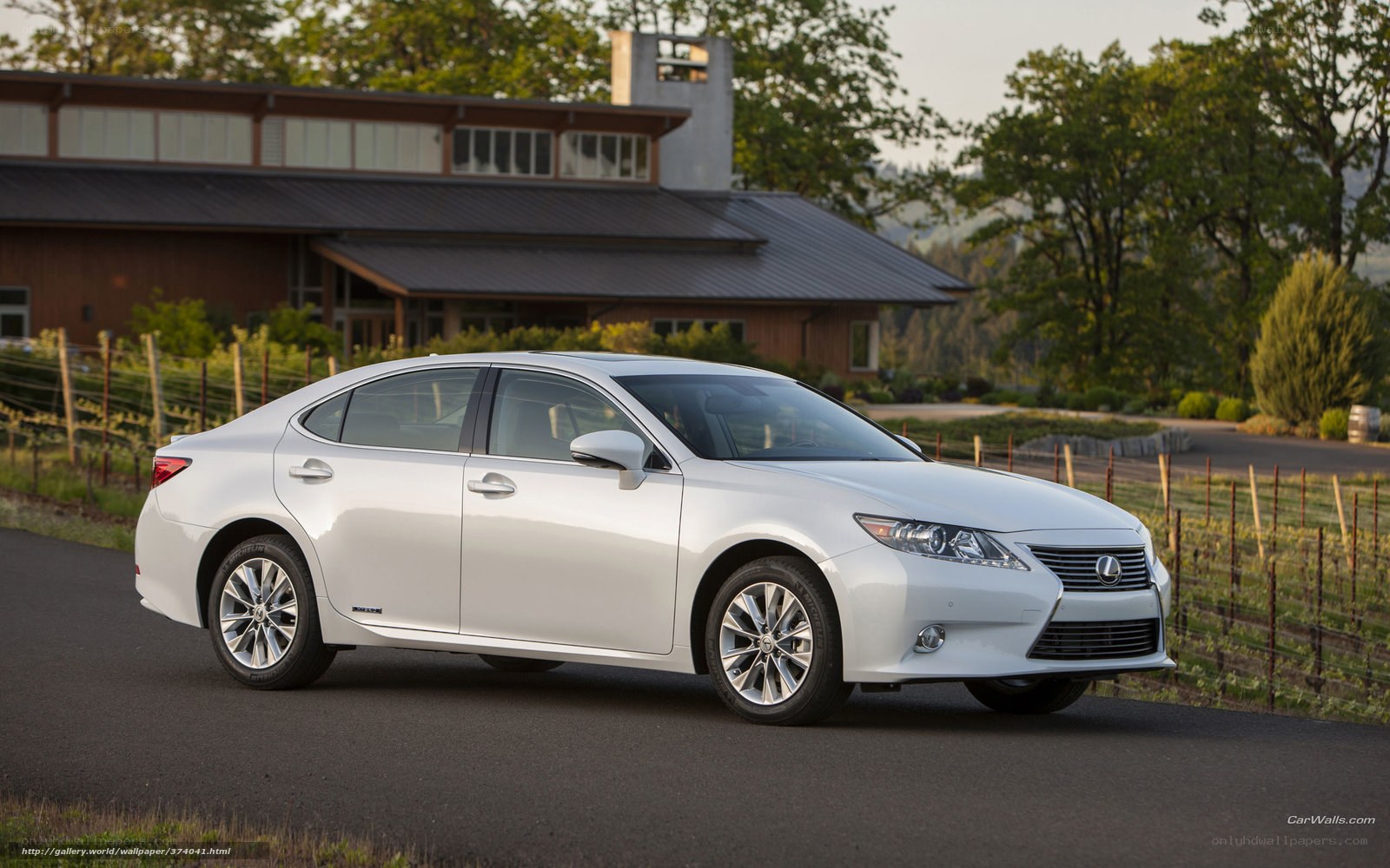 White Lexus ES in vineyard setting