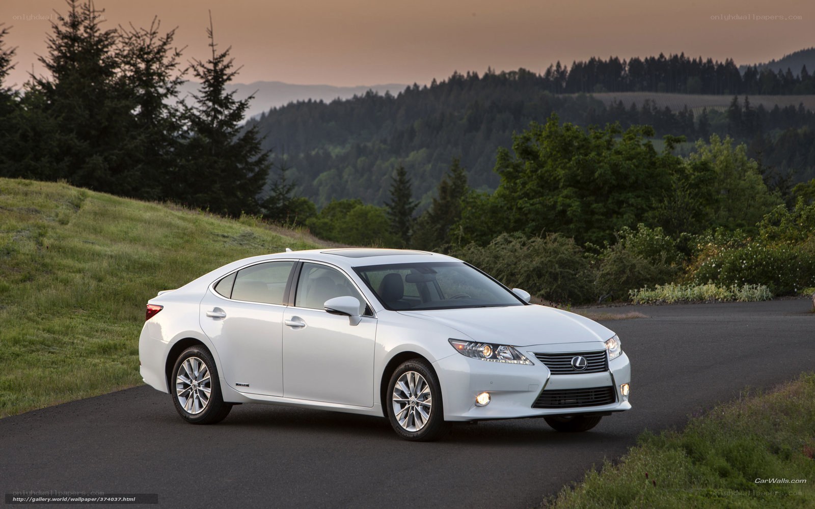 White Lexus ES on a country road