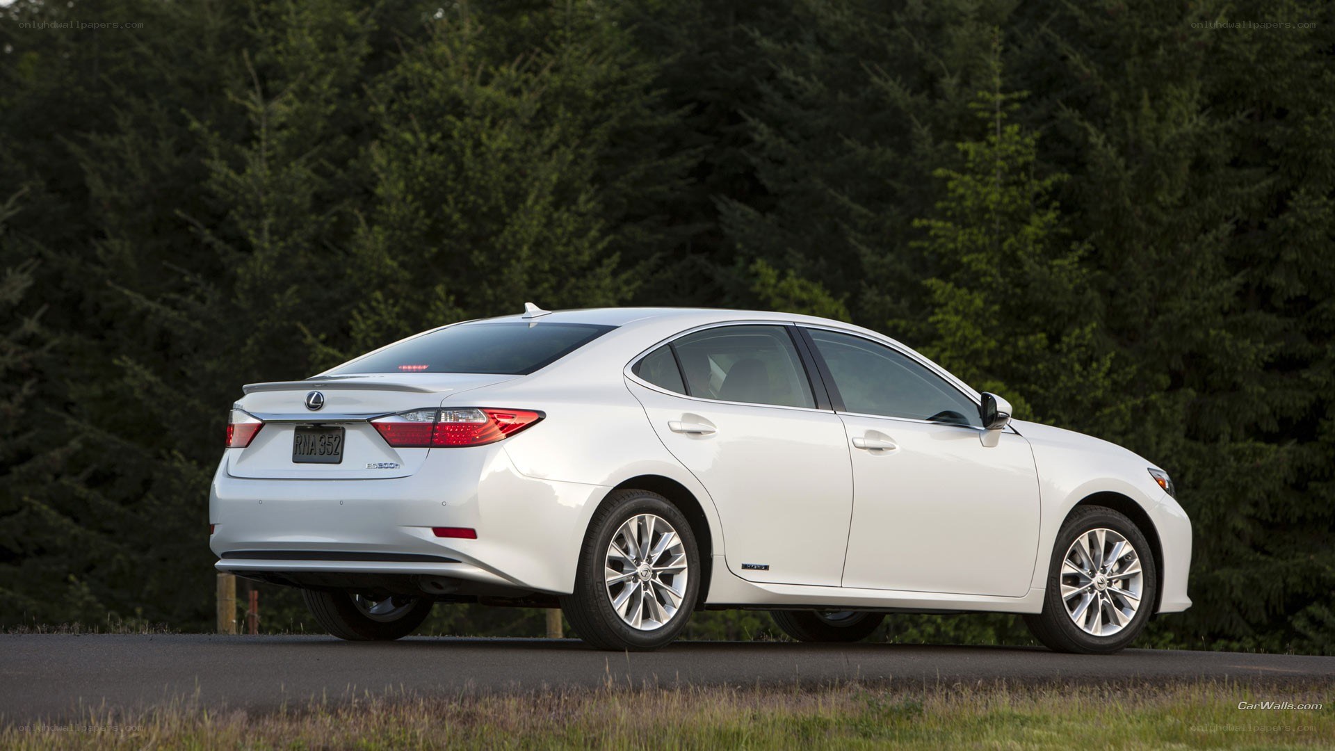 white lexus es300h sedan