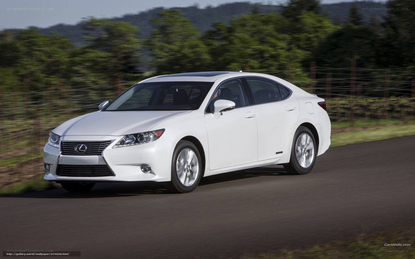 White Lexus GS driving on road