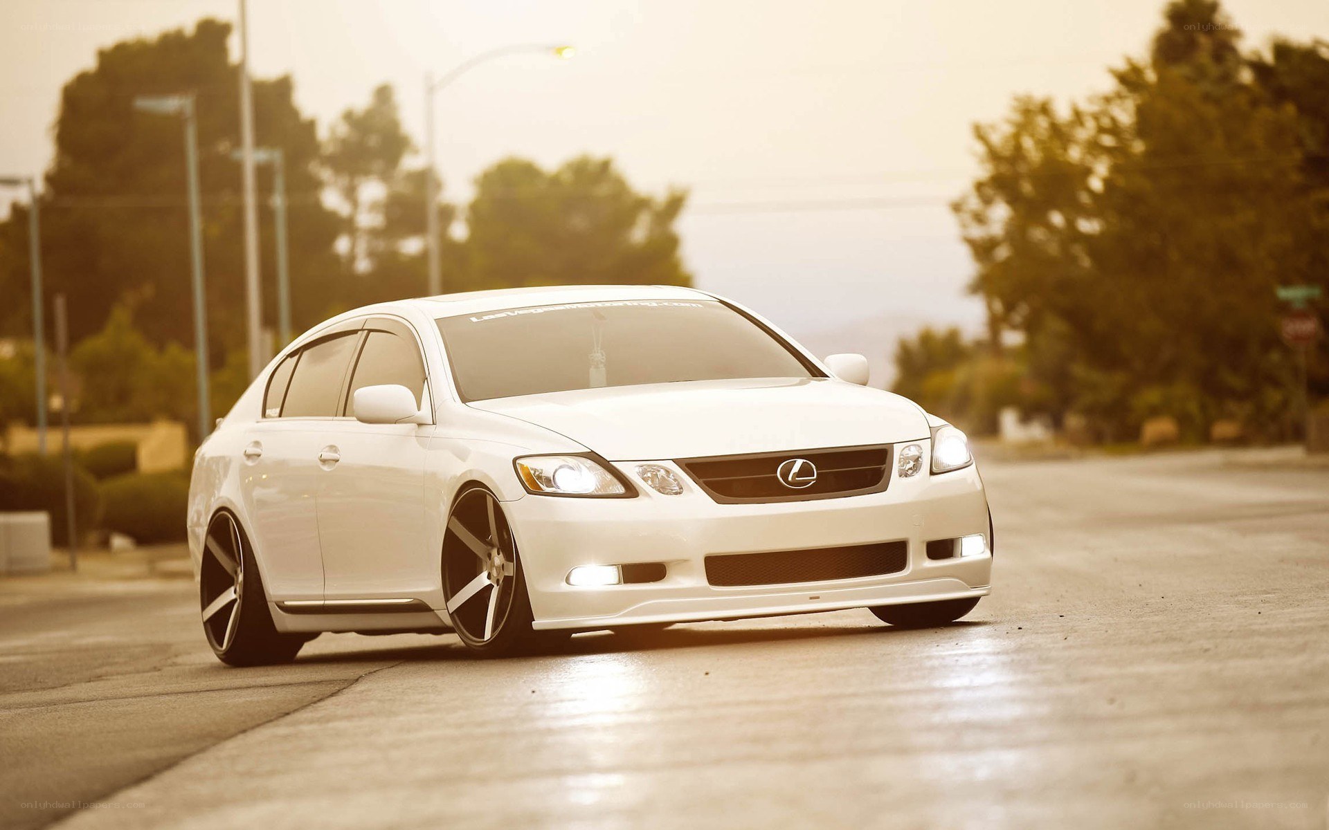 white lexus gs sedan