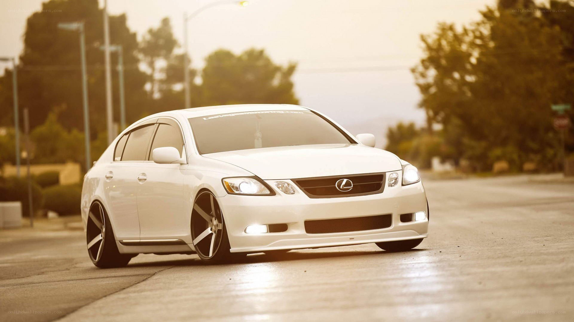 white lexus gs sedan