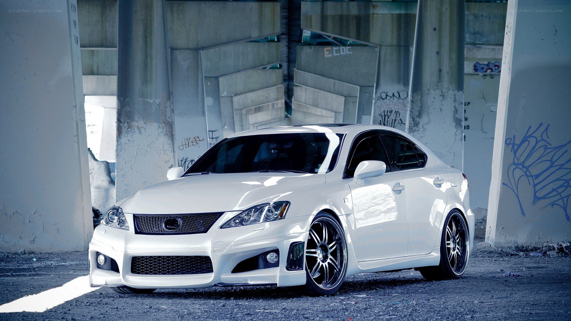 white lexus in urban setting
