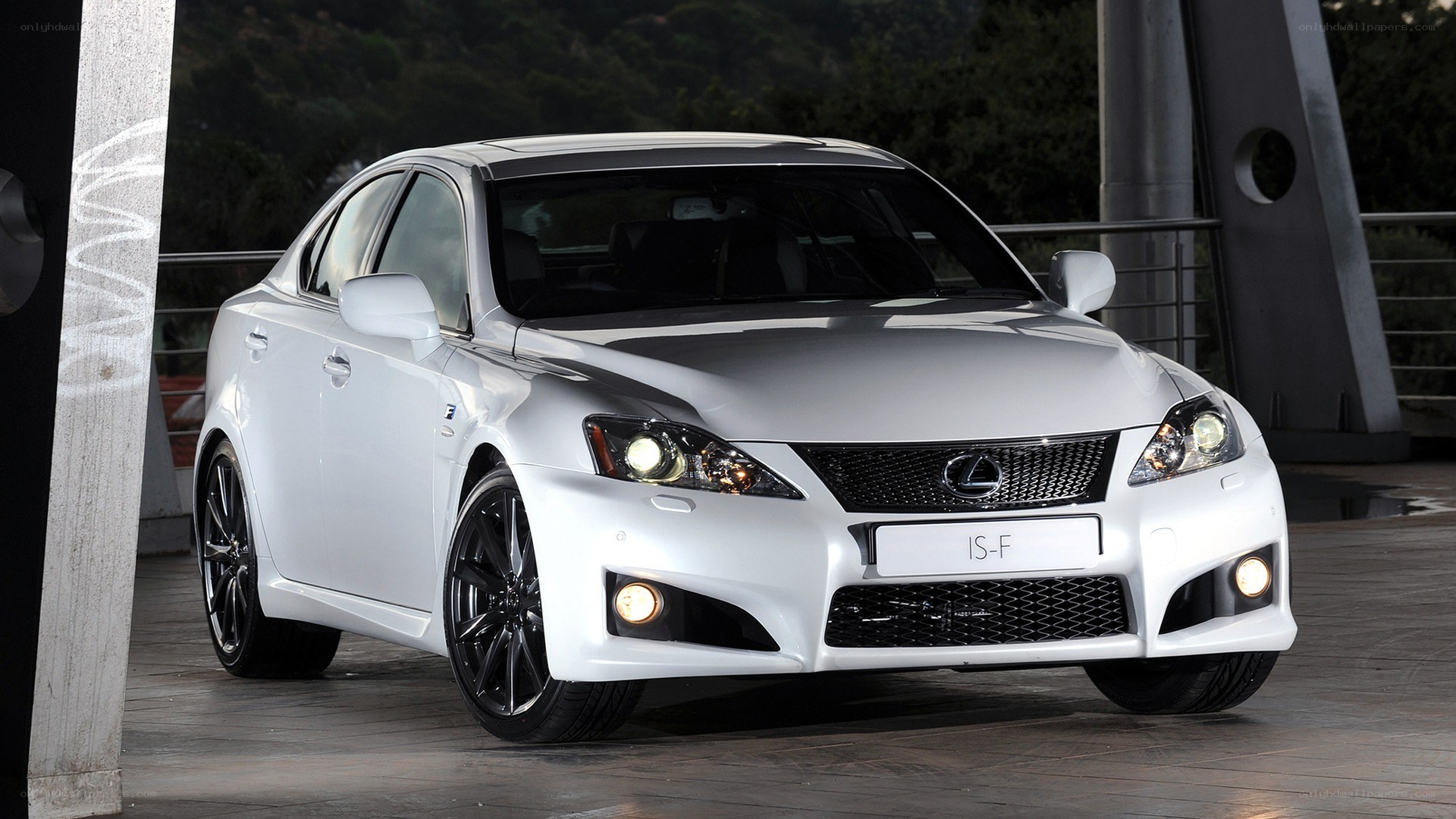 white lexus is-f sedan