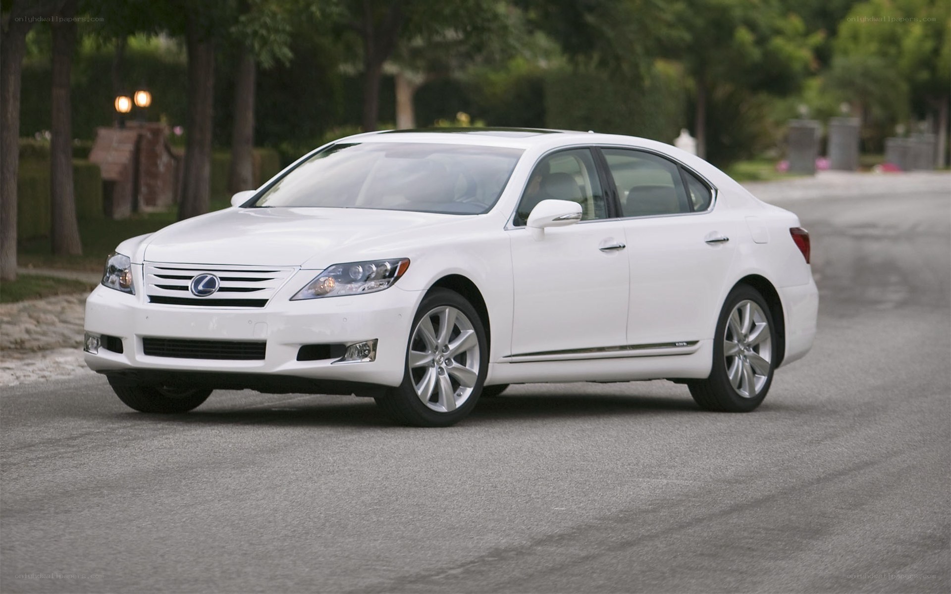white lexus ls sedan