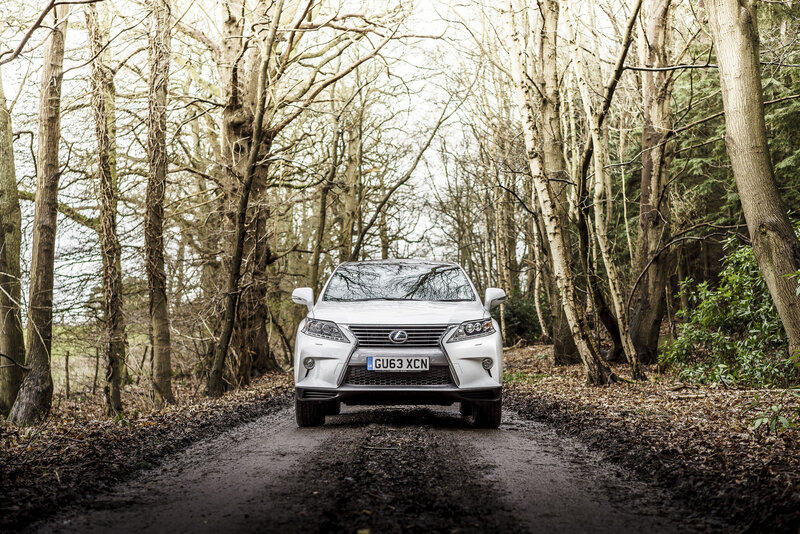 White Lexus on forest road