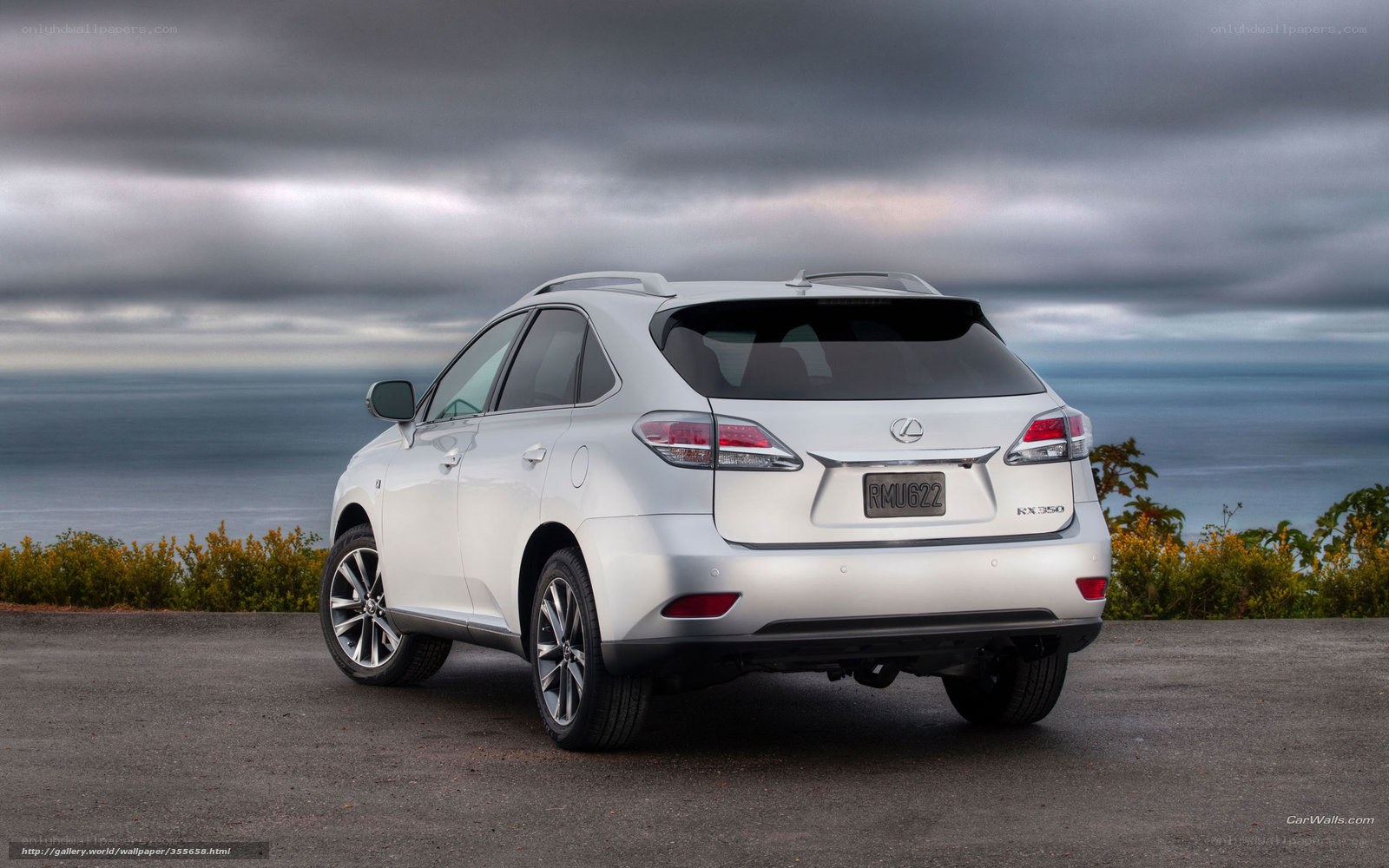 White Lexus RX 350 by the sea