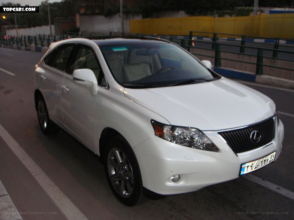 white lexus rx suv