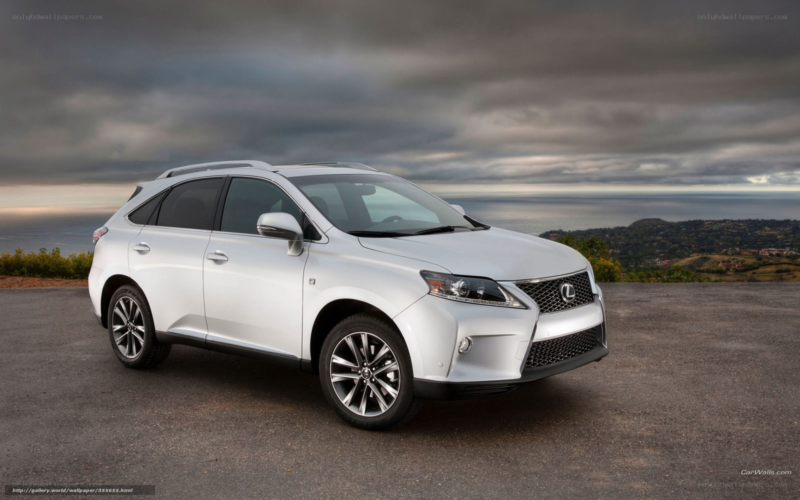 White Lexus RX SUV on cliff