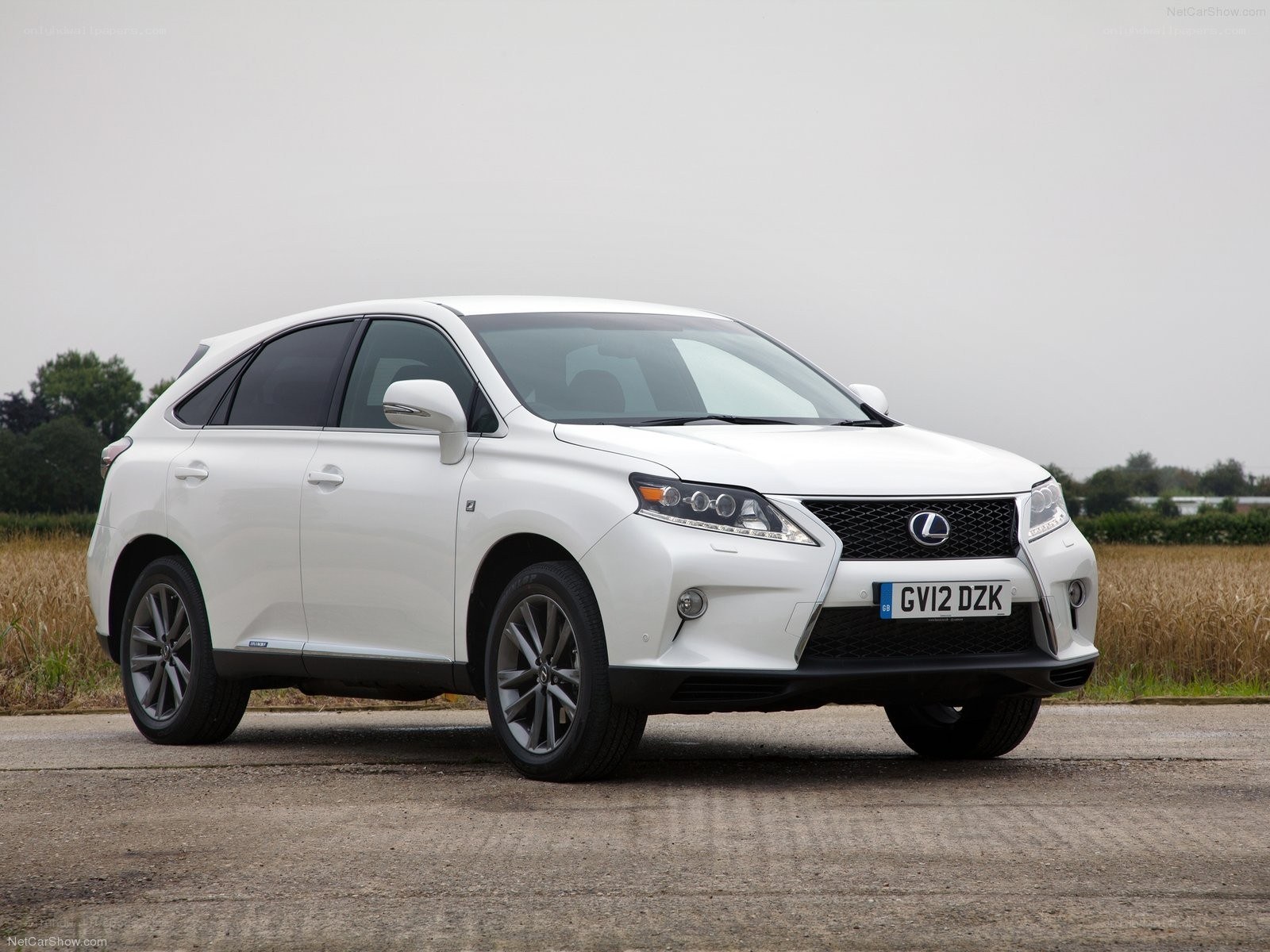 white lexus rx450h suv