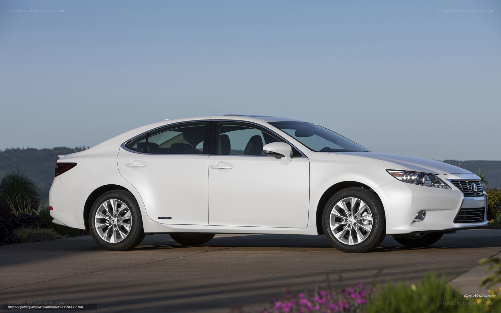 white lexus sedan on road
