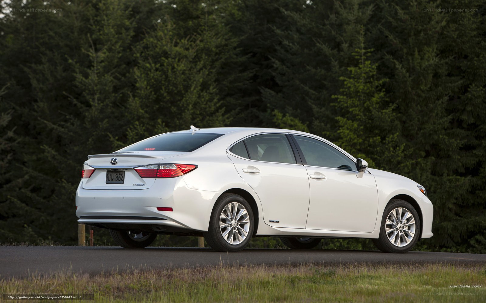 white lexus sedan on road