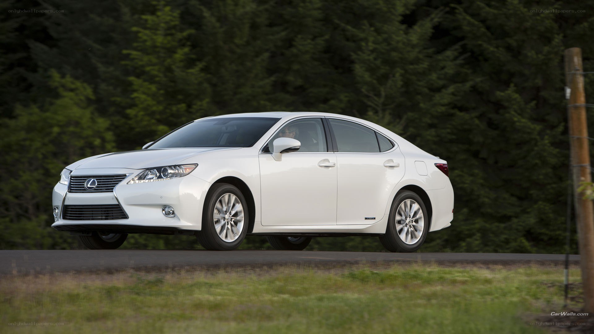 white lexus sedan on road