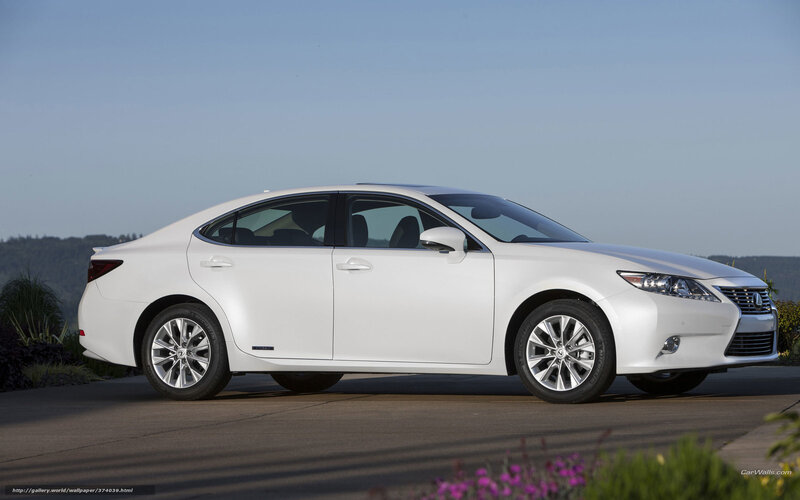 White Lexus Sedan — Serene, Afternoon, Photograph