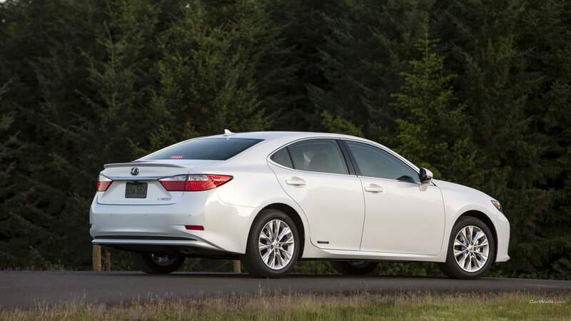 White Lexus Sedan — Serene, Afternoon