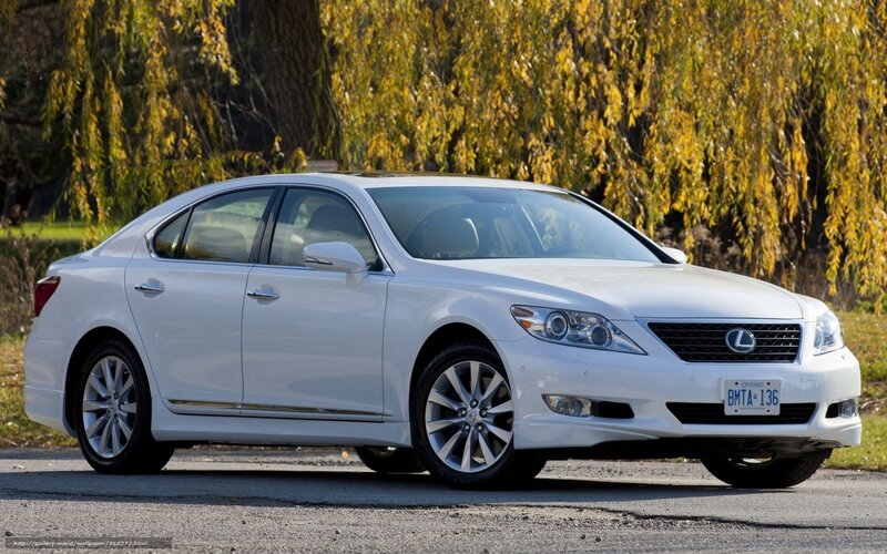 White Lexus Sedan — Serene, Autumn