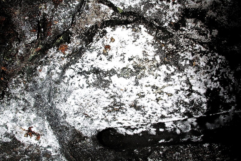 White Lichen on Rock