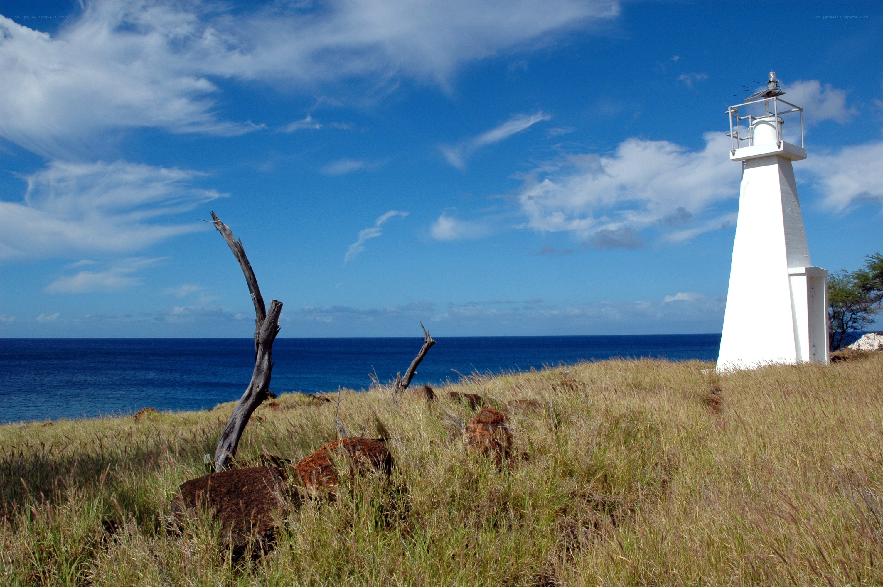 White lighthouse on grassy cliff