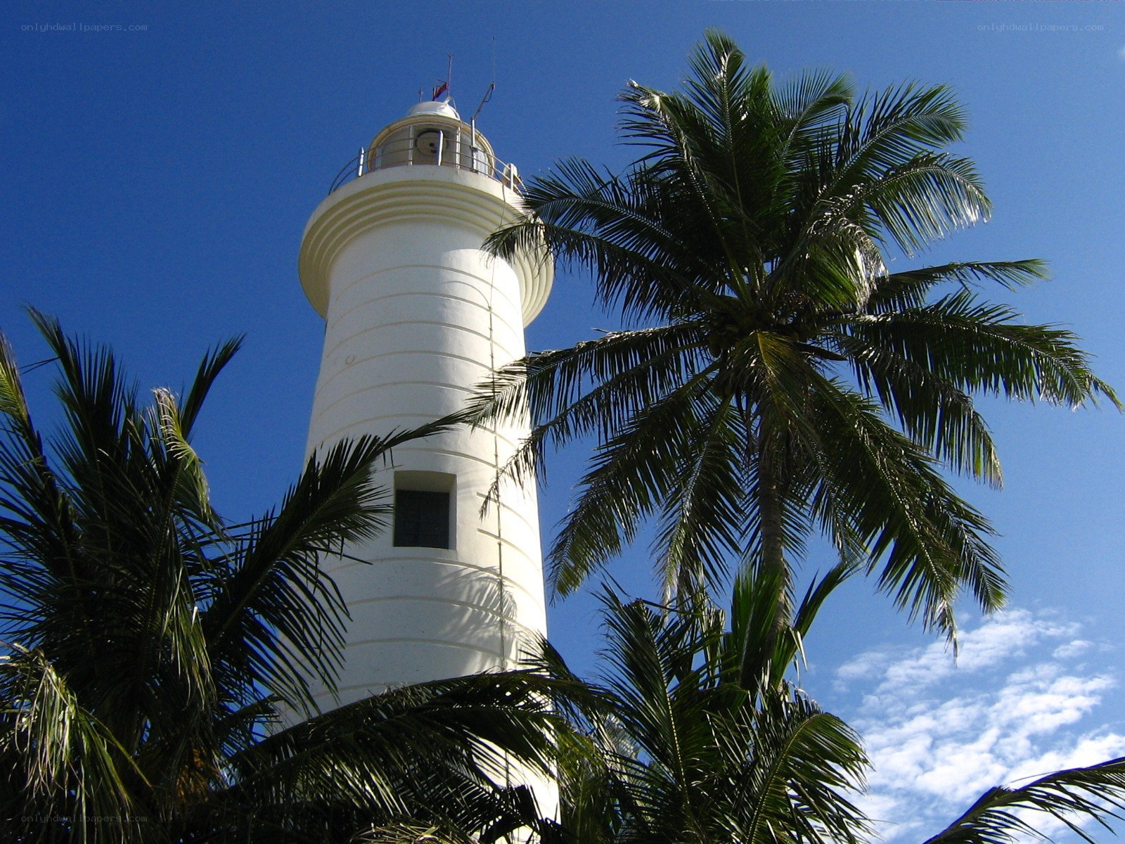 White lighthouse with palm trees