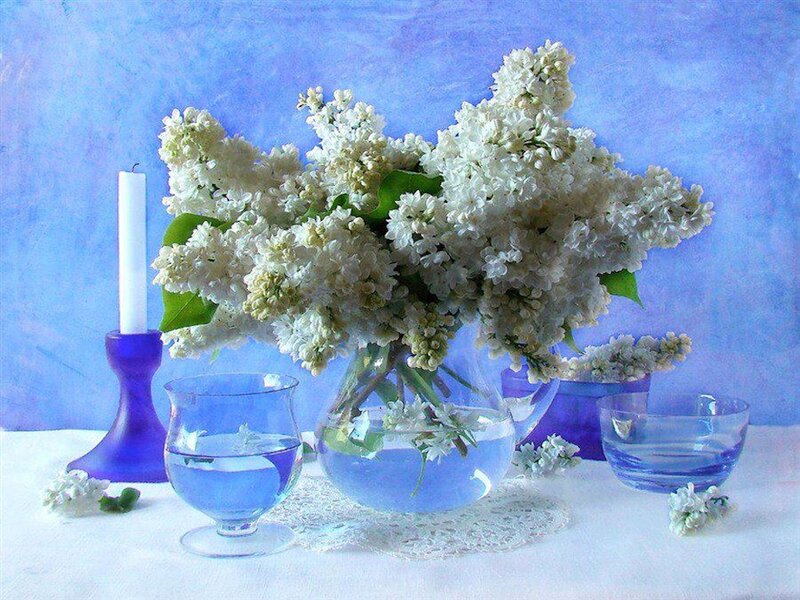 White Lilac Bouquet — Blue