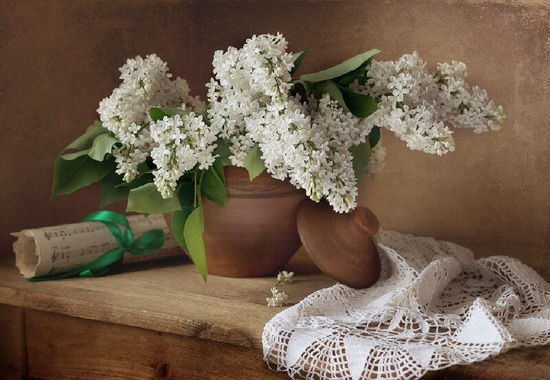White Lilac Bouquet — Brown, Serene