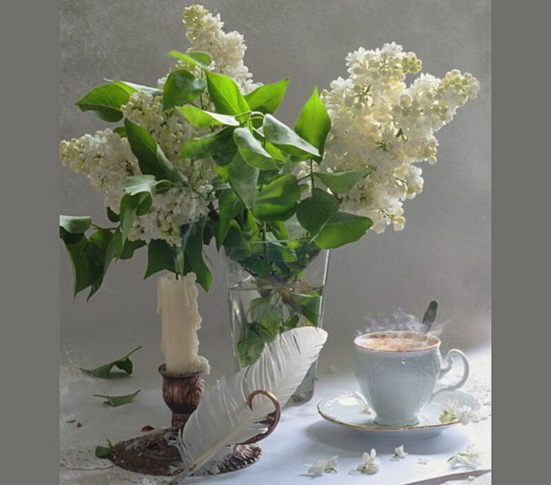 White Lilac Bouquet — Serene, Morning
