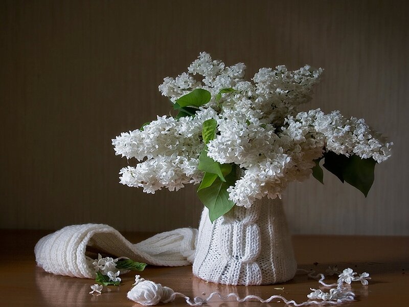 White Lilac Bouquet — Serene, Photograph