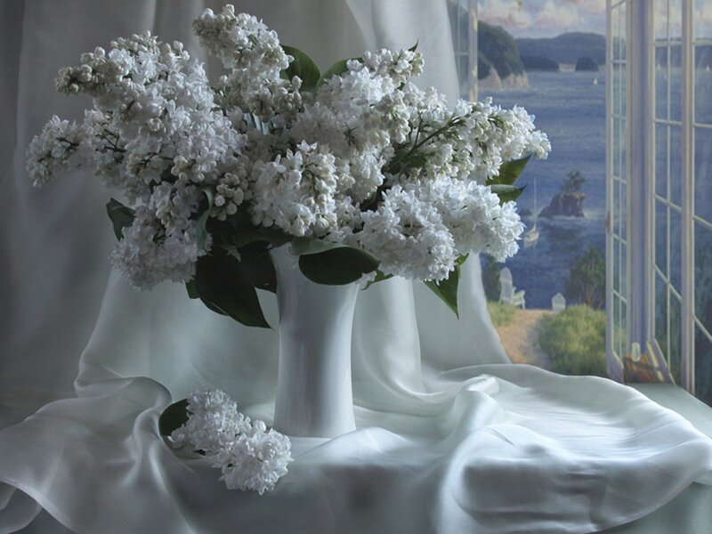 White Lilac Bouquet — Serene, Photograph, Vase, Window