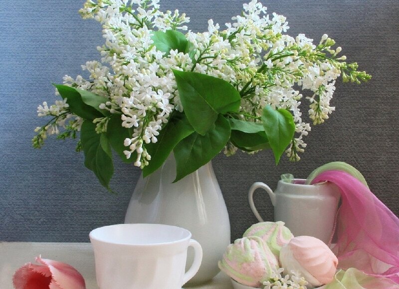 White Lilac Bouquet — Serene, Spring, Photograph, Cup