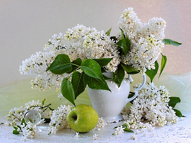 White Lilac Bouquet — Serene, Spring, Photograph, Green Apple