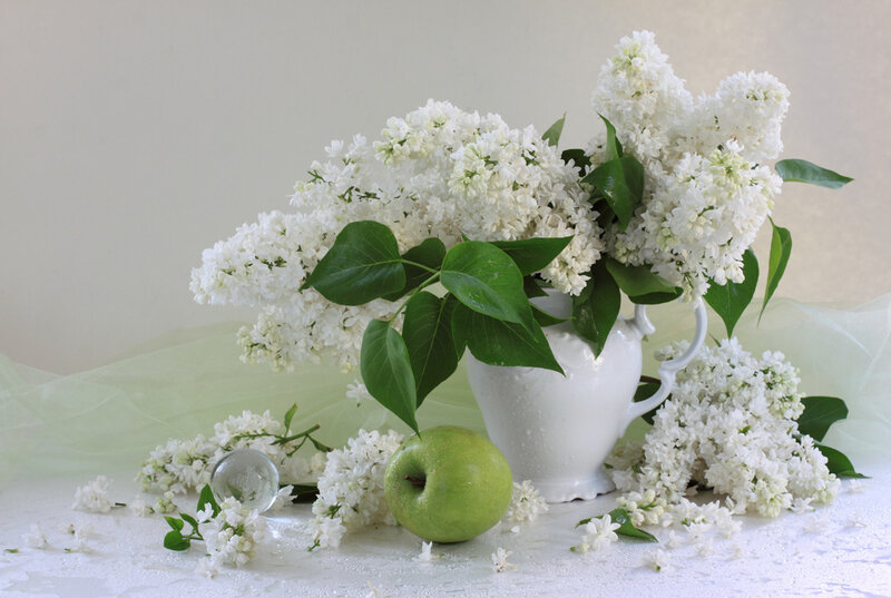White Lilac Bouquet — Serene, Spring, Photograph