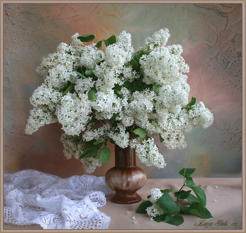 White Lilac Bouquet — Serene, Spring, Photograph, Vase, Lace Cloth