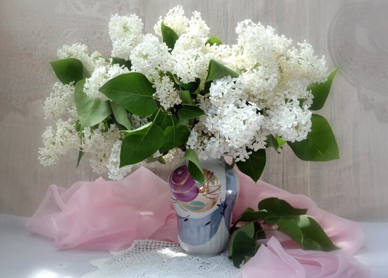White Lilac Bouquet — Serene, Spring, Photograph, Vase, Pink Fabric