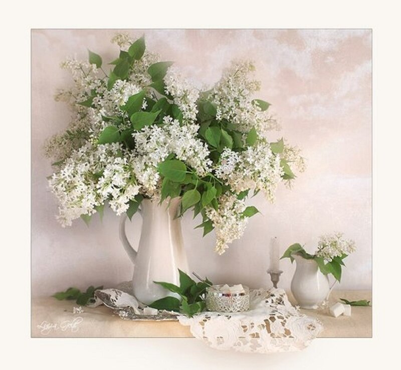 White Lilac Bouquet — Serene, Spring, Photograph, Vase