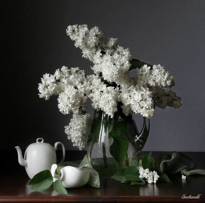 White Lilac Bouquet — Serene