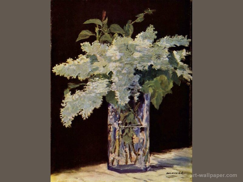 White Lilac Flowers — Calm