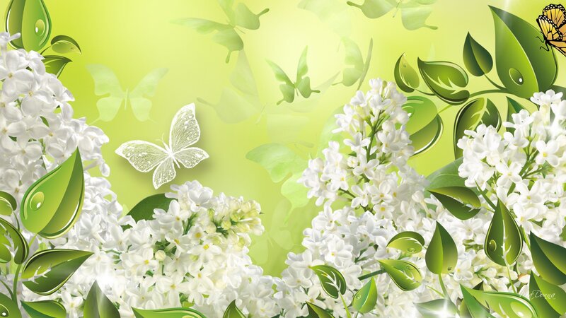 White Lilac Flowers — Green, Serene