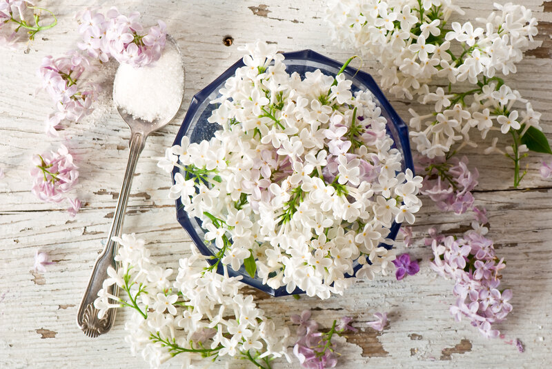 White Lilac Flowers in Bowl
