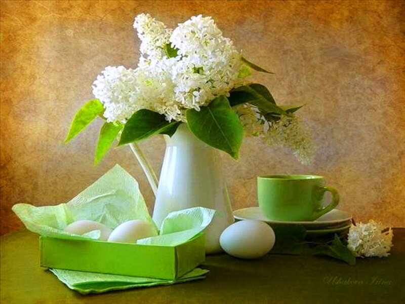 White Lilac Flowers in Pitcher